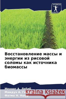 Vosstanowlenie massy i änergii iz risowoj solomy kak istochnika biomassy Labib, Mennat A., A. Gadalla, Mamduh, H. Ashur, Fatma 9786206111252 Sciencia Scripts - książka
