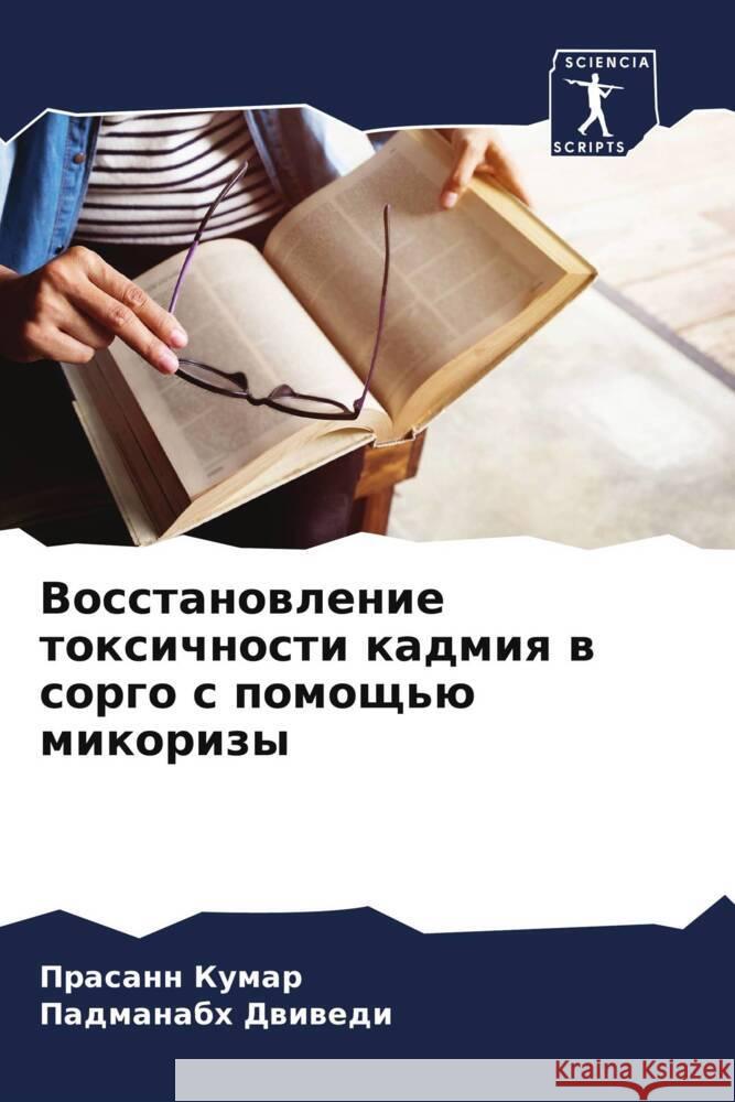Vosstanowlenie toxichnosti kadmiq w sorgo s pomosch'ü mikorizy Kumar, Prasann, Dwiwedi, Padmanabh 9786208571283 Sciencia Scripts - książka
