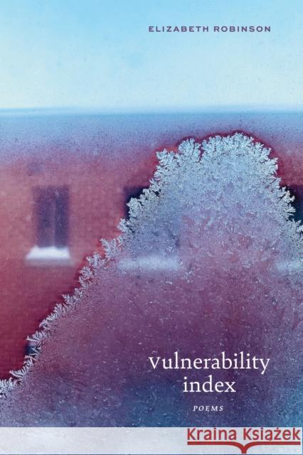 Vulnerability Index: Poems Elizabeth Robinson 9780810149205 Curbstone Press - książka