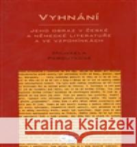 Vyhnání - jeho odraz v české a německé literatuře Michaela Peroutková 9788072773459 Libri - książka