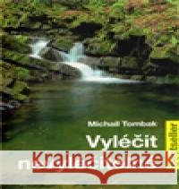 Vyléčit nevyléčitelné Michael Tombak 9788087431146 Beskydy - książka
