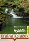Vyléčit nevyléčitelné Michael Tombak 9788087431146 Beskydy