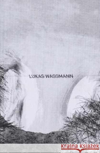 W Lukas Wassmann 9783906803760 Edition Patrick Frey - książka