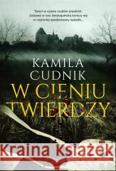 W cieniu twierdzy Cudnik Kamila 9788382023442 ZYSK I S-KA - książka