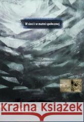 W sieci i w matni społecznej red. Piotr Skudrzyk, Małgorzata Suchacka, Marek S 9788322630556 Wydawnictwo Uniwersytetu Śląskiego - książka