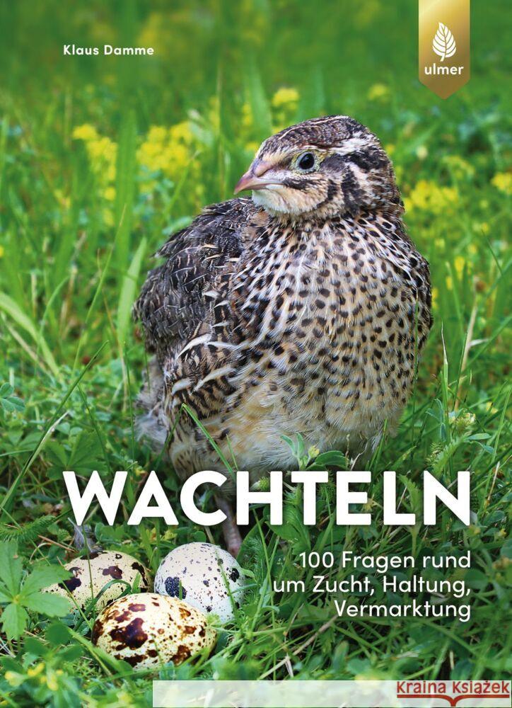 Wachteln Damme, Klaus 9783818614225 Verlag Eugen Ulmer - książka