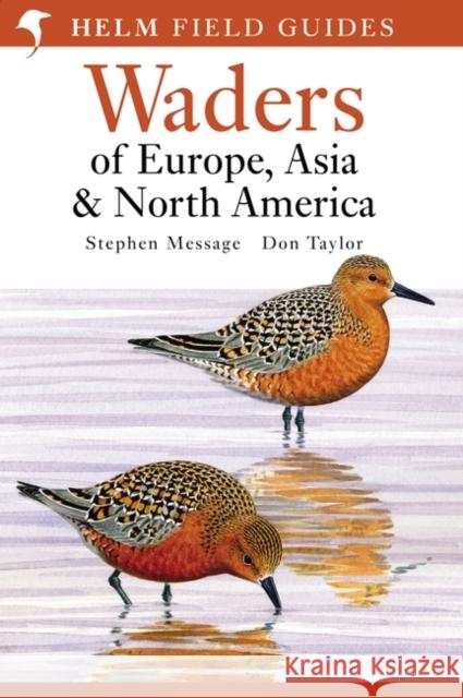 Waders of Europe, Asia and North America Don W. Taylor, Stephen Message 9780713652901 Bloomsbury Publishing PLC - książka