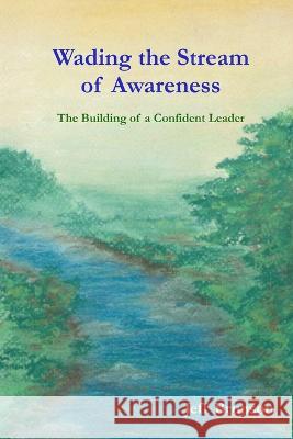 Wading the Stream of Awareness Jeff Brunson 9780578051697 Basicapproach - książka