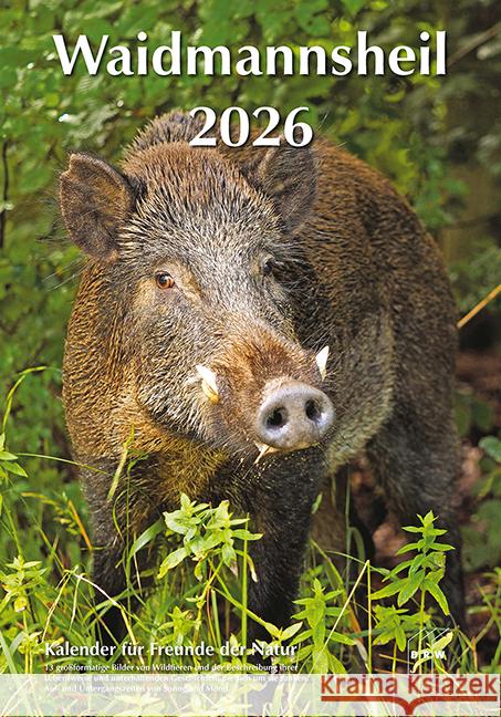 Waidmannsheil 2026  9783871819643 DRW - książka
