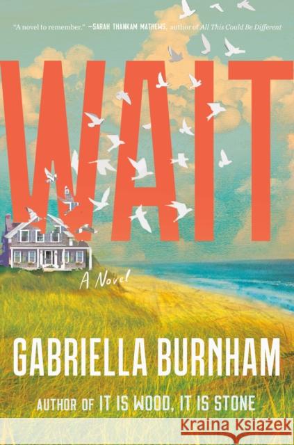 Wait: A Novel Gabriella Burnham 9780593596500 Random House USA Inc - książka