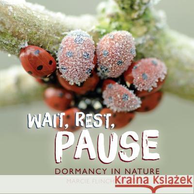 Wait, Rest, Pause: Dormancy in Nature Marcie Flinchum Atkins 9781541561922 Millbrook Press (Tm) - książka
