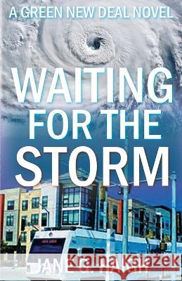 Waiting for the Storm: A Green New Deal Novel Jane G Haigh 9780962753091 Hillside Press - książka