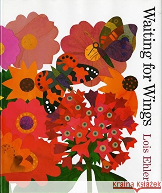 Waiting for Wings Lois Ehlert 9780152026080 Harcourt Children's Books - książka