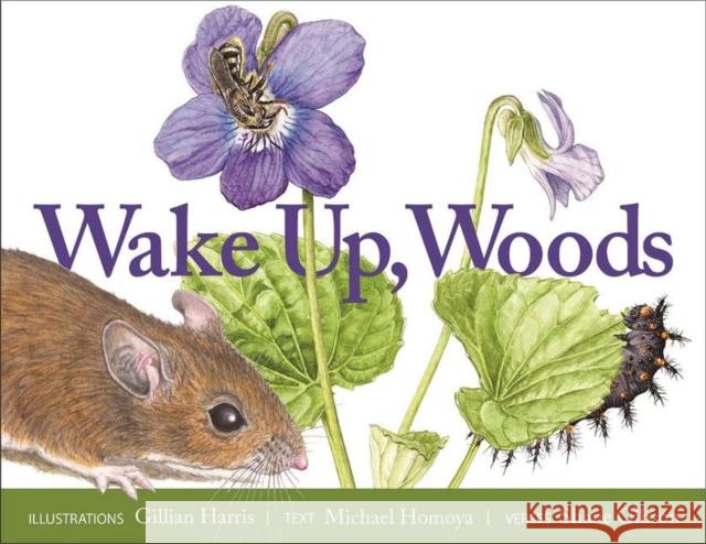 Wake Up, Woods Gillian Harris Michael A. Homoya Shane Gibson 9781947141469 Rubber Ducky Press - książka