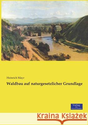 Waldbau auf naturgesetzlicher Grundlage Heinrich Mayr 9783957009043 Vero Verlag - książka