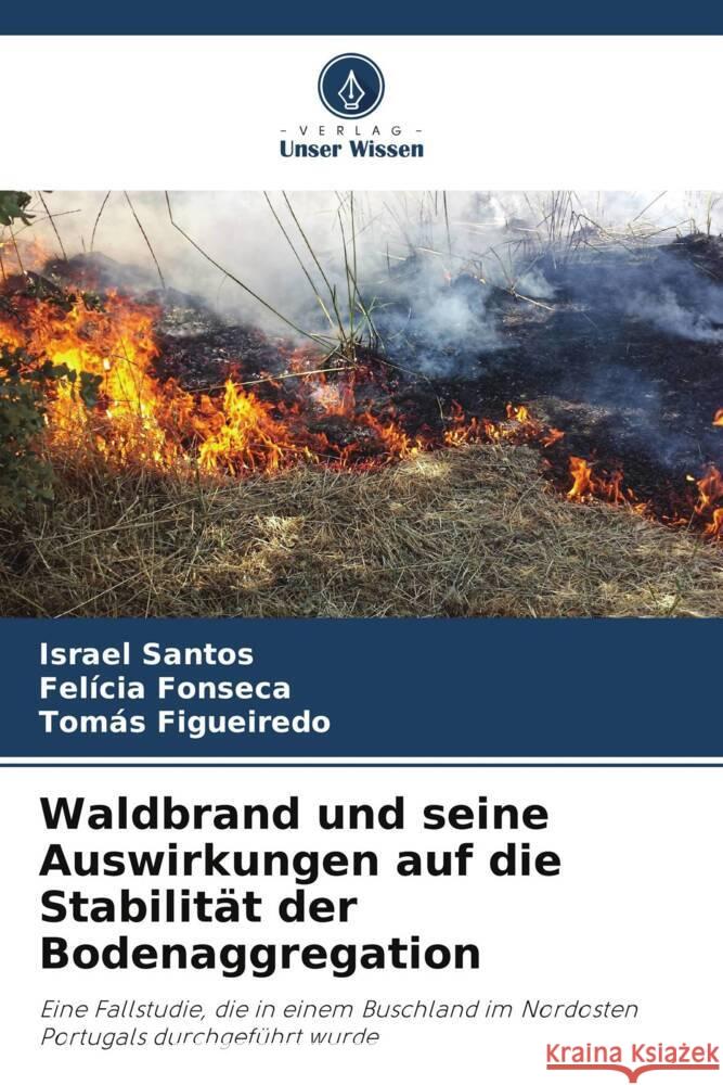 Waldbrand und seine Auswirkungen auf die Stabilität der Bodenaggregation Santos, Israel, Fonseca, Felícia, Figueiredo, Tomás 9786206363125 Verlag Unser Wissen - książka