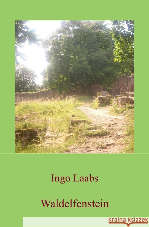 Waldelfenstein Laabs, Ingo 9783819760983 epubli - książka