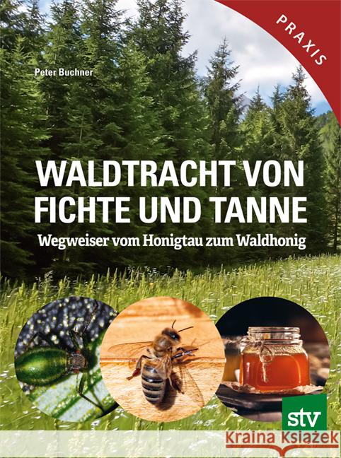 Waldtracht von Fichte und Tanne Buchner, Peter 9783702022594 Stocker - książka