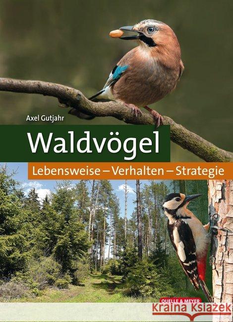 Waldvögel : Lebensweise - Verhalten - Strategie Gutjahr, Axel 9783494018201 Quelle & Meyer - książka