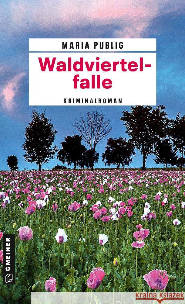 Waldviertelfalle Publig, Maria 9783839206553 Gmeiner-Verlag - książka