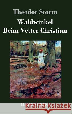 Waldwinkel / Beim Vetter Christian Theodor Storm 9783843041881 Hofenberg - książka