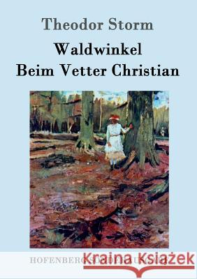 Waldwinkel / Beim Vetter Christian Theodor Storm 9783861997719 Hofenberg - książka