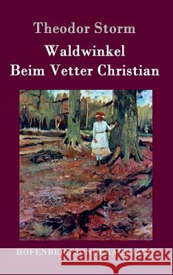 Waldwinkel / Beim Vetter Christian Theodor Storm 9783861997726 Hofenberg - książka