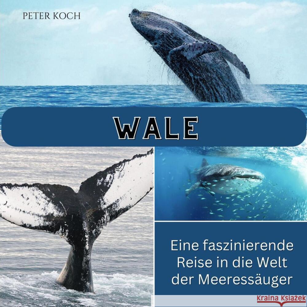 Wale Koch, Peter 9783750563681 27amigos - książka
