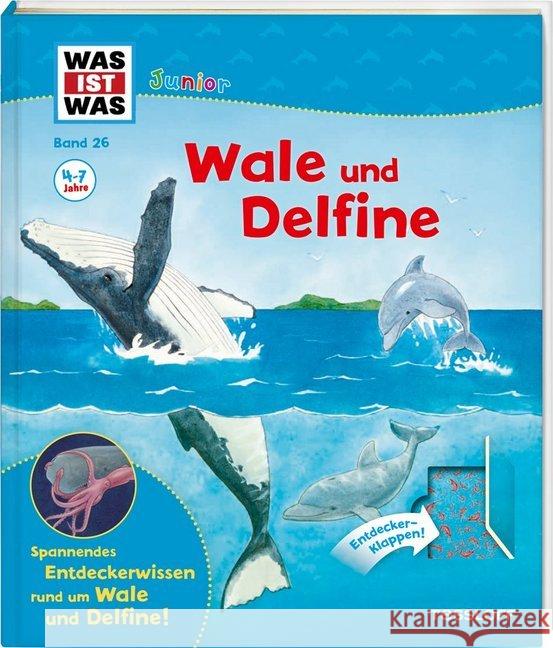 Wale und Delfine : Spannendes Entdeckerwissen rund um Wale und Delfine! Oftring, Bärbel 9783788622237 Tessloff - książka