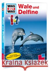 Wale und Delphine; Whales and Dolphins, DVD : Faszinierende Meeressäuger  9783788642303 Tessloff - książka