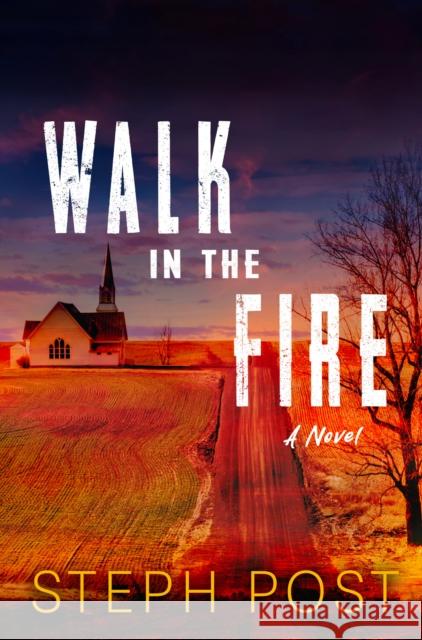 Walk in the Fire Steph Post 9781917415040 Datura Books - książka