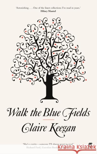 Walk the Blue Fields: 'Pure magic.' Colm Toibin Claire Keegan 9780571233076 Faber & Faber - książka