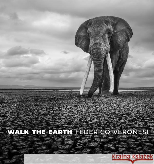 Walk the Earth: Federico Veronesi Federico Veronesi 9783791393919 Prestel Publishing - książka