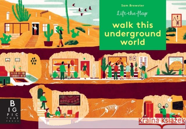 Walk This Underground World Kate Baker Sam Brewster  9781787413764 Templar Publishing - książka