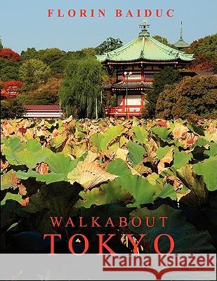 Walkabout Tokyo Florin Baiduc 9781435705142 Lulu.com - książka