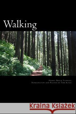 Walking Henry David Thoreau Tom Alyea 9781517308766 Createspace - książka