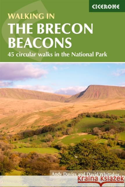 Walking in the Brecon Beacons: 45 circular walks in the National Park David Whittaker 9781786310897 Cicerone Press - książka