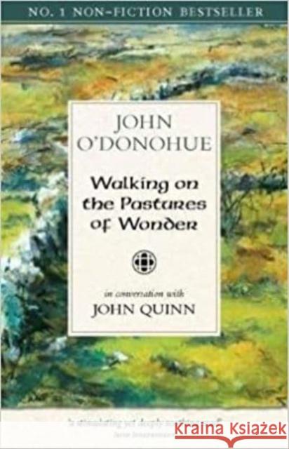 Walking on the Pastures of Wonder: In Conversation with John Quinn John Quinn 9781847307675 Veritas - książka