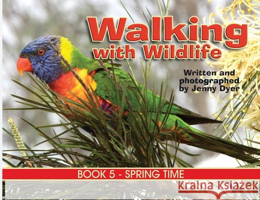 Walking with Wildlife - Book 5: Spring Time Jenny Dyer 9781763793972 Jenny Dyer - książka