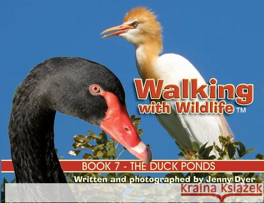 Walking with Wildlife - Book 7: The Duck Ponds Jenny Dyer 9781763793996 Jenny Dyer - książka