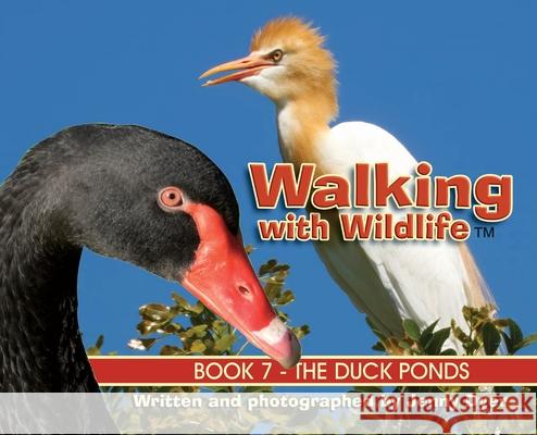 Walking with Wildlife - Book 7: The Duck Ponds Jenny Dyer 9781764028004 Jenny Dyer - książka