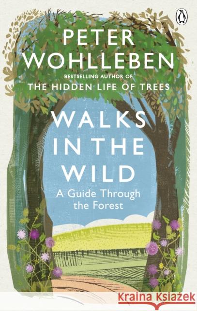 Walks in the Wild: A guide through the forest with Peter Wohlleben Peter Wohlleben 9781846045585 Ebury Publishing - książka