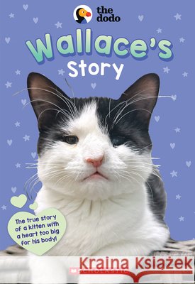 Wallace's Story (the Dodo) Aubre Andrus 9781546171690 Scholastic Inc. - książka