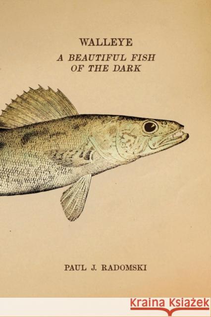 Walleye: A Beautiful Fish of the Dark Paul J. Radomski 9781517913632 University of Minnesota Press - książka