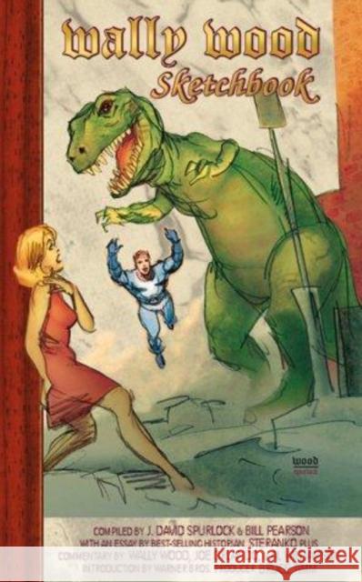 Wally Wood Sketchbook Wallace Wood Jim Steranko Bruce Timm 9781887591089 Vanguard Productions (NJ) - książka