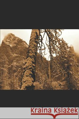 Walpurgisnacht: Die Versammlung Mateo G R 9781795205788 Independently Published - książka