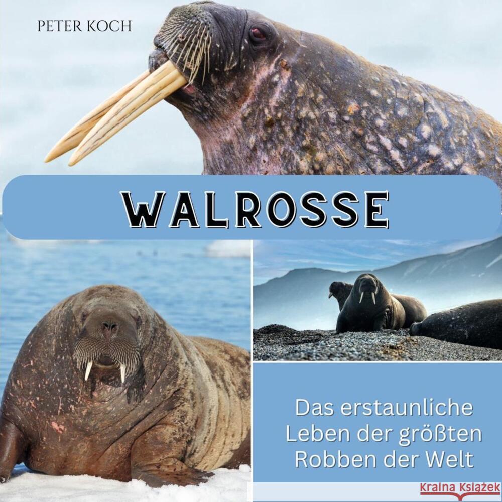Walrosse Koch, Peter 9783750563674 27amigos - książka