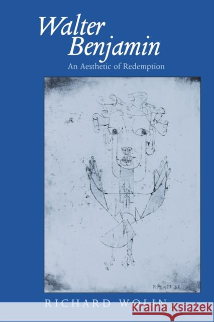 Walter Benjamin: An Aesthetic of Redemptionvolume 7 Wolin, Richard 9780520084001 University of California Press - książka