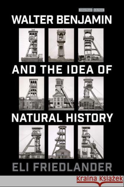 Walter Benjamin and the Idea of Natural History Eli Friedlander 9781503637702 Stanford University Press - książka