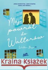 Walter Boys T.2 Mój powrót do Walterów Ali Novak 9788328931022 BeYA - książka